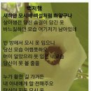 범암 | 조선후기 명재상 채제공선생묘