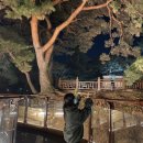 2020 노래연습장 | 맛도리 5주차 일상: 오랜만에 여행 다녀오기