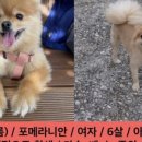 용지면사무소 이미지