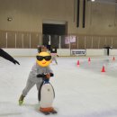 성산스포츠센터 | 창원 아이랑 아이스링크 성산 스포츠센터 빙상장 후기:)