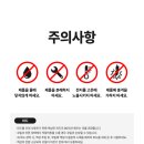 렌트모아