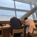 합동청사역 좌측 | FEB #4. 괌 가족여행 1일차/괌 두짓비치 리조트/타시그릴 꿀팁/투석환자 괌 자유여행