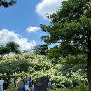신기마을(연꽃세상) | 제주도 동화마을, 현실판 동화 속 세상🧚🏻‍♂️ 가족, 연인, 아이들과 가볼 만한 곳 추천 +스타벅스 강추!
