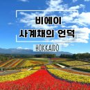 언덕농장 | [홋카이도여행] 사계채의 언덕, 알파카농장,비에이투어, 비에이렌트