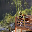 나무테크 이미지