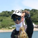 그린낚시 이미지