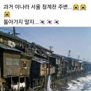 대명제 이미지