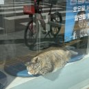 참길이비인후과의원 이미지
