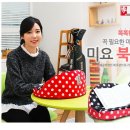 미요코리아 이미지