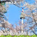 문화공간 가꾸기 | 서울 마지막 벚꽃 나들이, 남산도서관에서 서울N타워까지 반나절 코스