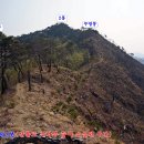 성불산자연휴양림 이미지