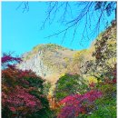 강천산군립공원 이미지