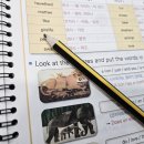 해운대초교 이미지