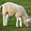 멘토수학학원 이미지