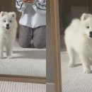 더바른동물병원 앞 이미지
