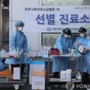 성모상회 네이버블로그