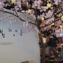 청담주막 네이버블로그