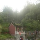 송대로L 이미지