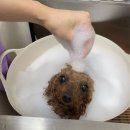 베리굿동물병원 이미지