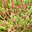 백산유통 이미지