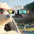 (주)메가투어 중소기업신문