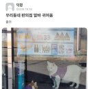 동네편의점 이미지