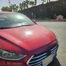 sm카서비스 | 이집트 여행 국내선 후루가다에서 카이로 후루가다 공항 에어카이로 SM023