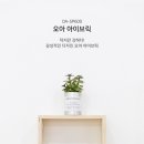 아이브릭