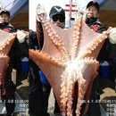 낚시마트 - 통영시 견내량로 42 | 낚시마트