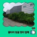 송산면사무소 | 울타리 덩굴 정리 업체