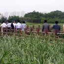 감자바위 이미지