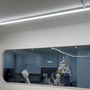 꾸니베어 이미지