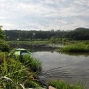 물나들이 이미지