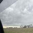 민구농장 | 호주 아라렛(Ararat) 여행