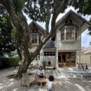 아르테(ARTE) | “치앙마이 감성 카페 아르테 “Café Arte” 후기 – 유럽 감성의 빈티지 커피숍, 오래 머무르고 싶은...