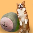 MIN 피트니스 이미지