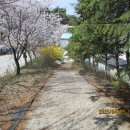 계성농장 이미지