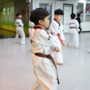 한미태권도 이미지