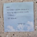 디자인알알 네이버블로그