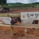 목장카페 밭디 네이버블로그