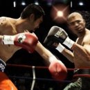 안래기 복싱클럽 이미지