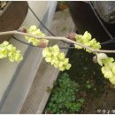 송정하우스 이미지