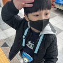 스카이캣명동2호점 | 명동역 아이랑 갈만한 곳 - 고양이카페 고양이놀이터 명동점