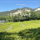 불암산 힐링타운 후기 - 수국정원, 나비정원, 카페포레스트까지 하루 코스 총정리