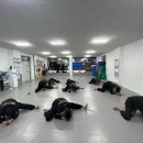 용호태권도체육관 이미지