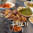 6489 | 대전 도안동 현지인 고기 맛집 계란말이 주는 퇴근 후 술 한잔 즐기기 좋은 ‘훈뒷고기’