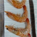 더 맑은 민박 이미지