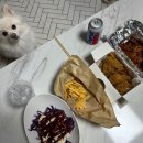 영포떡집 | 울산 달동 치킨맛집 후라이드참잘하는집 배달 후기 후라이드반+양념반