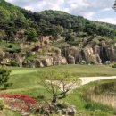 도군로-2 이미지