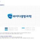 와이디메디칼 이미지